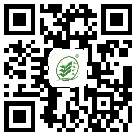 黄瓜TV在线观看